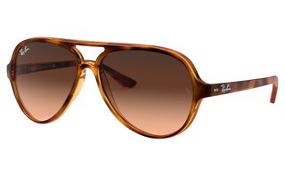 Lunettes de soleil RB4125-820-A5