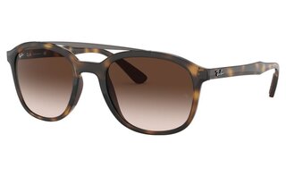 Lunettes de soleil RB4290