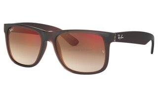 Lunettes de soleil RB4165