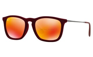 Lunettes de soleil RB4187