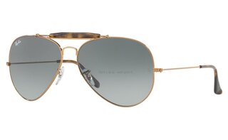 Lunettes de soleil RB3029