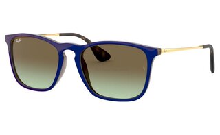 Lunettes de soleil RB4187