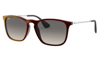 Lunettes de soleil RB4187