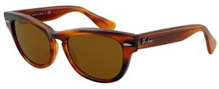 Lunettes de soleil LARAMIE RB4169 