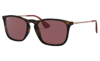 Lunettes de soleil RB4187