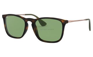 Lunettes de soleil RB4187