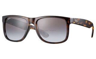 Lunettes de soleil RB4165