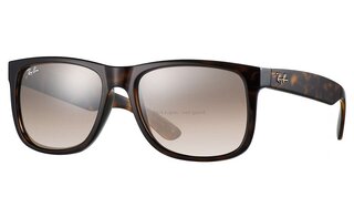 Lunettes de soleil RB4165