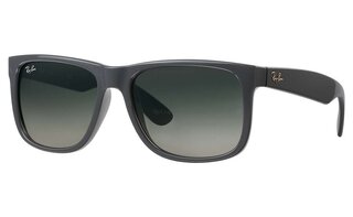 Lunettes de soleil RB4165