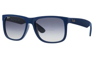 Lunettes de soleil RB4165