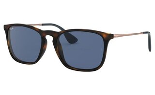 Lunettes de soleil RB4187F