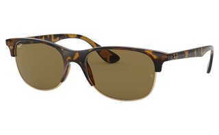 Lunettes de soleil RB4319