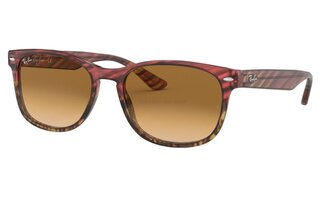 Lunettes de soleil RB2184