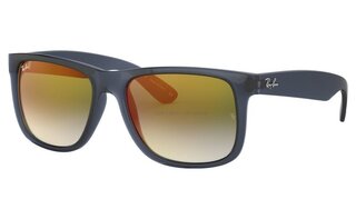Lunettes de soleil RB4165