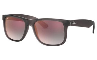 Lunettes de soleil RB4165