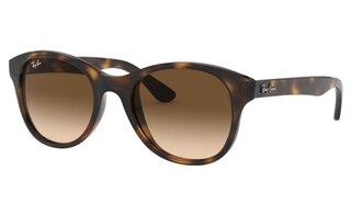 Lunettes de soleil RB4203