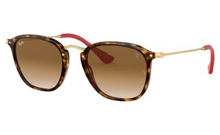 Lunettes de soleil RB2448NM