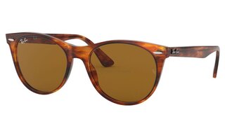 Lunettes de soleil RB2185