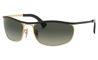 Lunettes de soleil RB3119