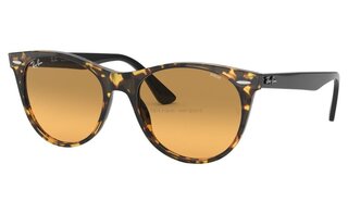 Lunettes de soleil RB2185