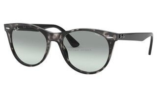 Lunettes de soleil RB2185