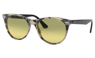 Lunettes de soleil RB2185