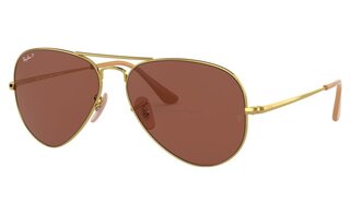 Lunettes de soleil RB3689