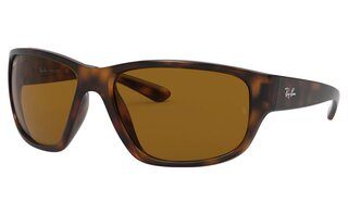 Lunettes de soleil RB4300
