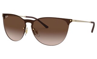 Lunettes de soleil RB3652