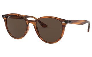 Lunettes de soleil RB4305