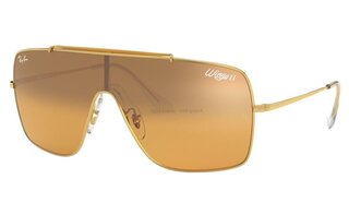 Lunettes de soleil RB3697