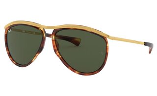 Lunettes de soleil RB2219