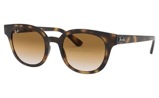 Lunettes de soleil RB4324