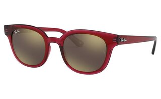 Lunettes de soleil RB4324