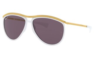 Lunettes de soleil RB2219