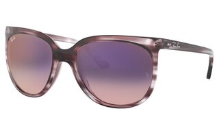 Lunettes de soleil RB4126