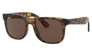 Lunettes de soleil RJ9069S