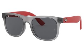 Lunettes de soleil RJ9069S