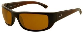Lunettes de soleil RB4176