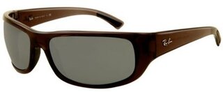Lunettes de soleil RB4176
