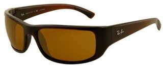 Lunettes de soleil RB4176