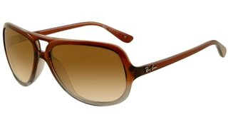 Lunettes de soleil RB4162