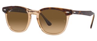 Lunettes de soleil RB2298 1292M2