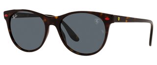 Lunettes de soleil RB2202M F613R5