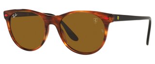 Lunettes de soleil RB2202M F66733