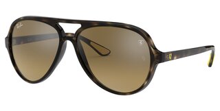 Lunettes de soleil RB4125M-F6093K