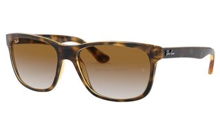 Lunettes de soleil RB4181