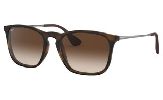 Lunettes de soleil RB4187