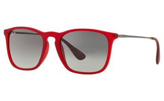 Lunettes de soleil RB4187