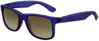 Lunettes de soleil RB4165